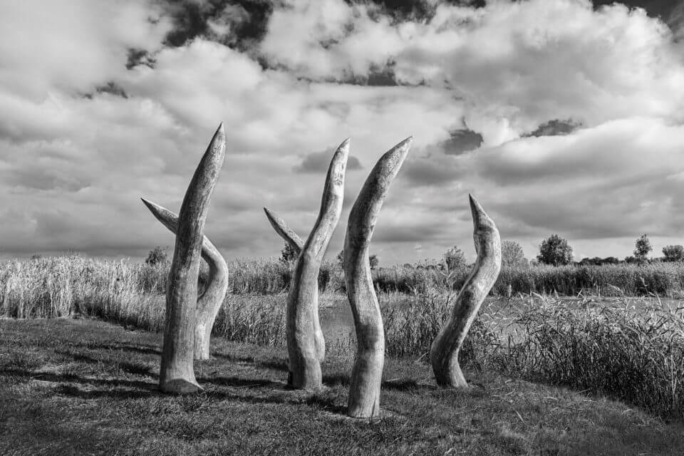 POLE NATURE DE VITREZAY