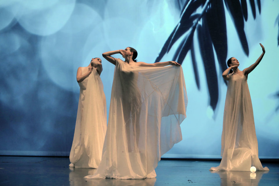 danse caroline dané