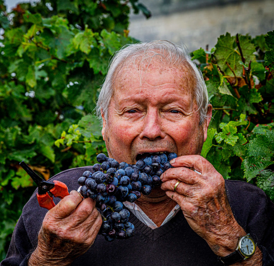 CLOS DE L ECHAUGUETTE VENDANGES 2020