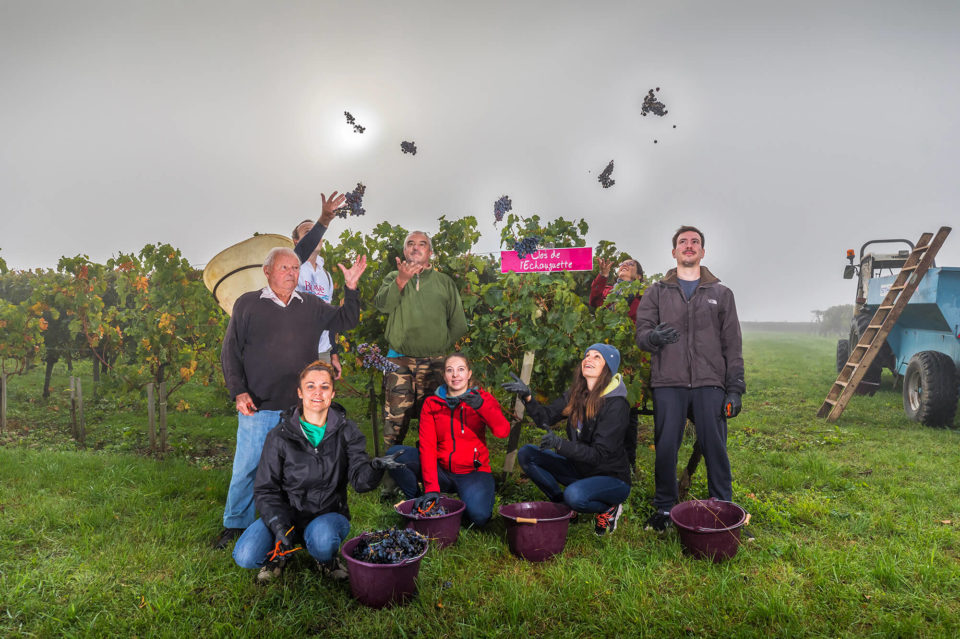 CLOS DE L ECHAUGUETTE VENDANGES