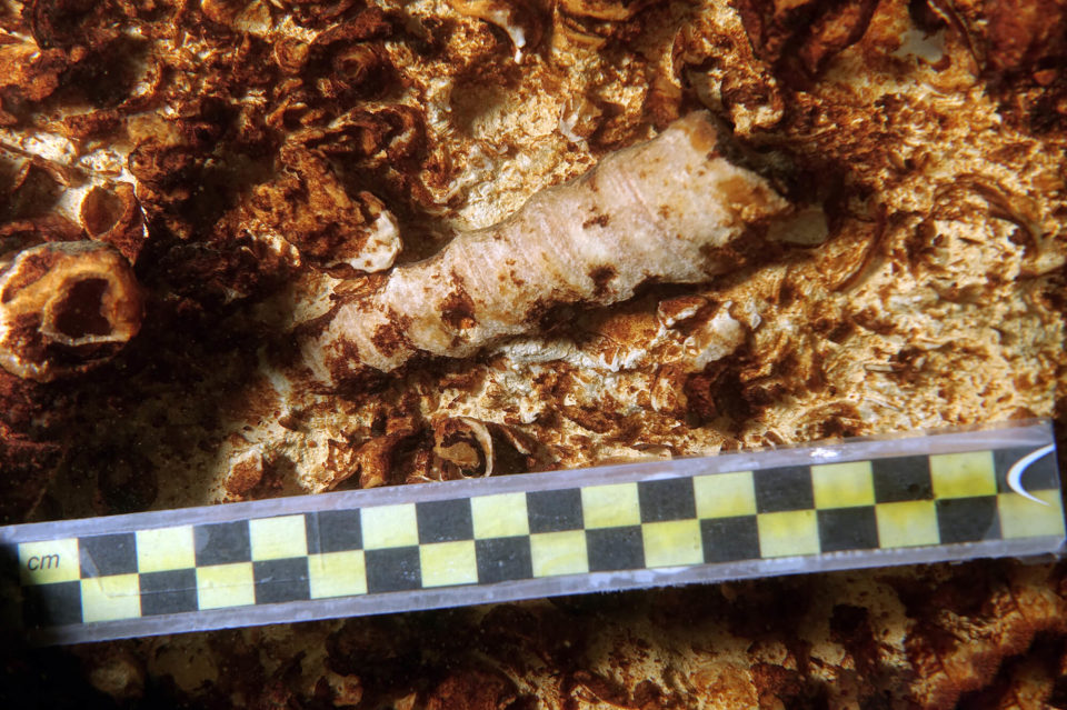 SOURCES DE LA TOUVRE